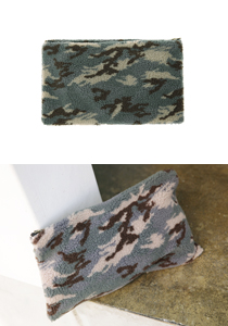 ��ǰ �̹���