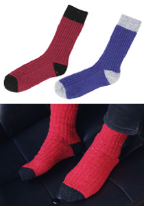 ��ǰ �̹���